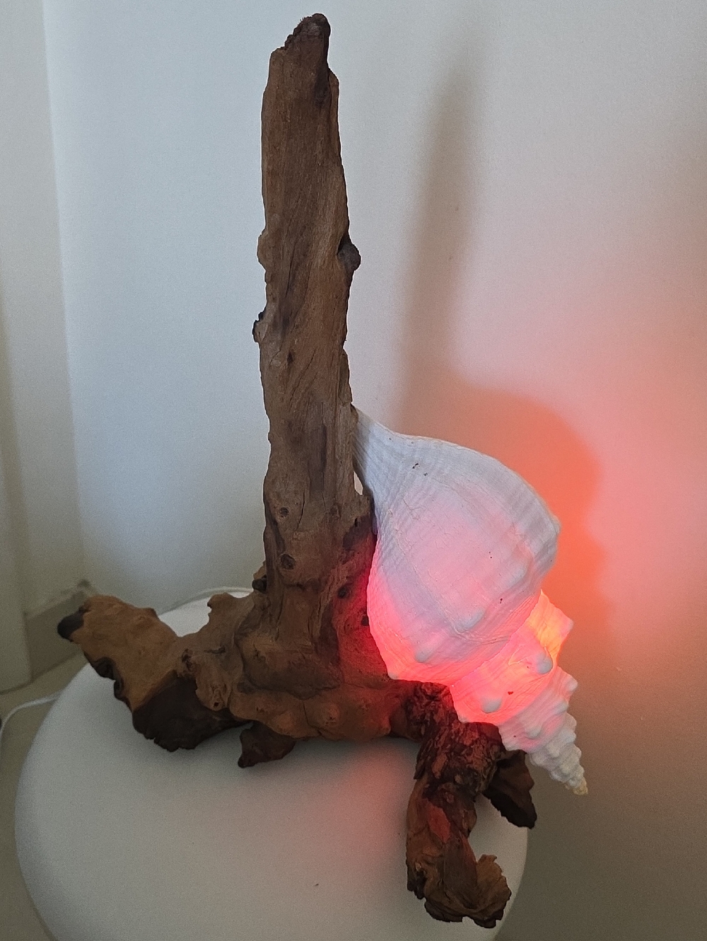 Illuminated Shell Driftwood Lamp - Pink & Orange Glow
